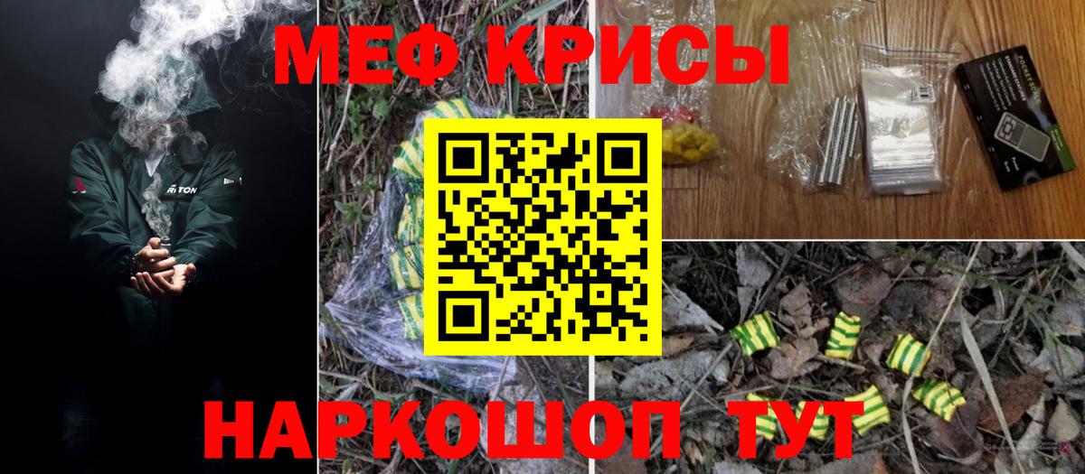 МЕФ  Новозыбков