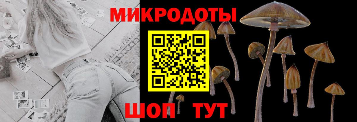Галлюциногенные грибы мицелий  Вход с VPN  Новозыбков 